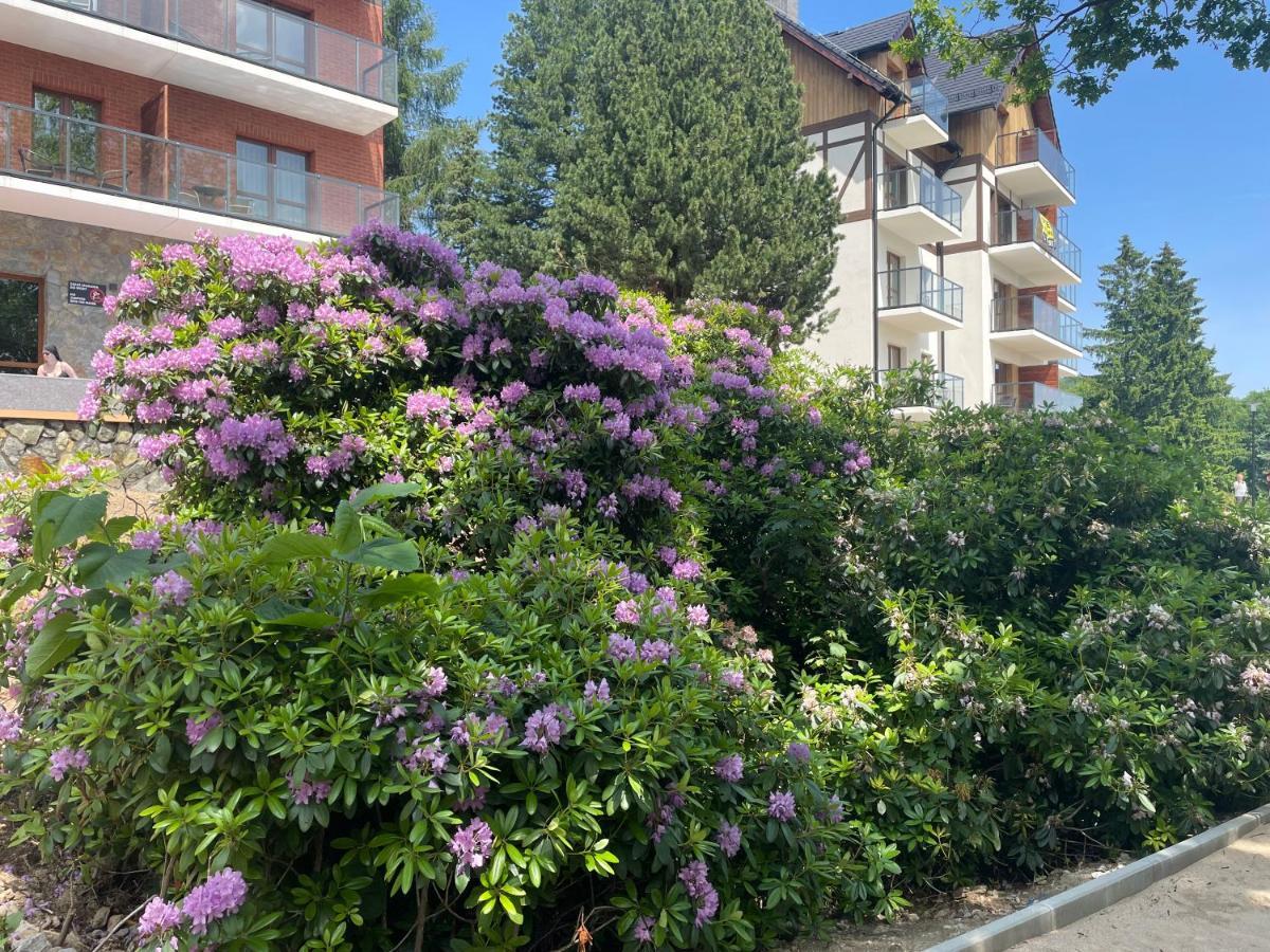 Apartament N&B Szklarska Poręba Eksteriør billede